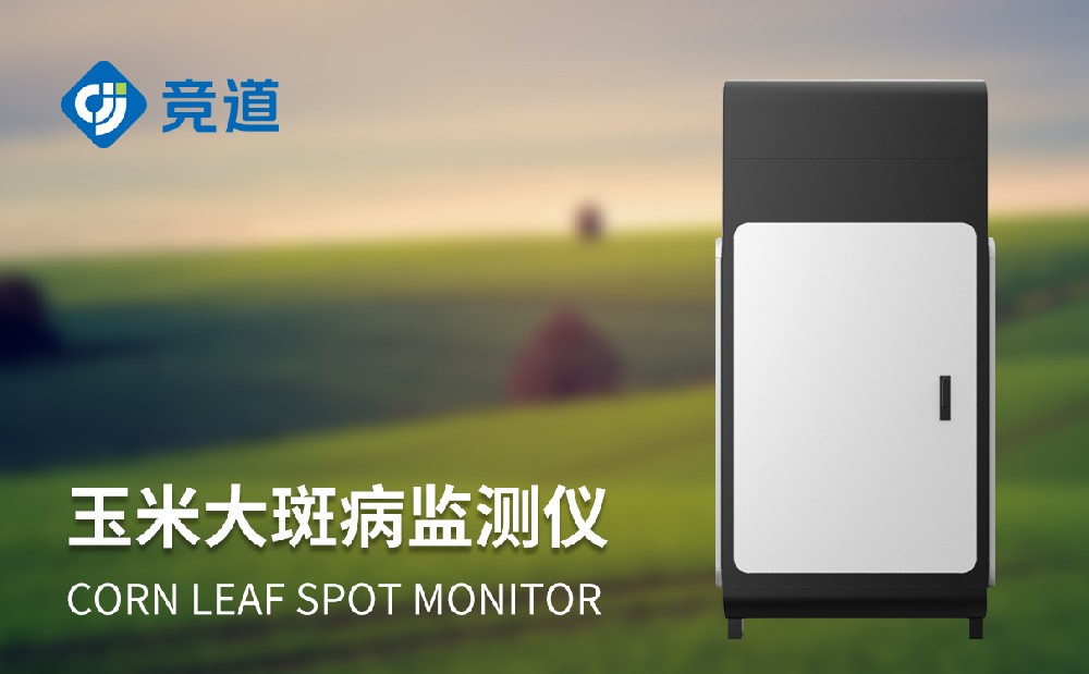 玉米大斑病防治新手段，玉米大斑病監(jiān)測儀提升病害治理能力