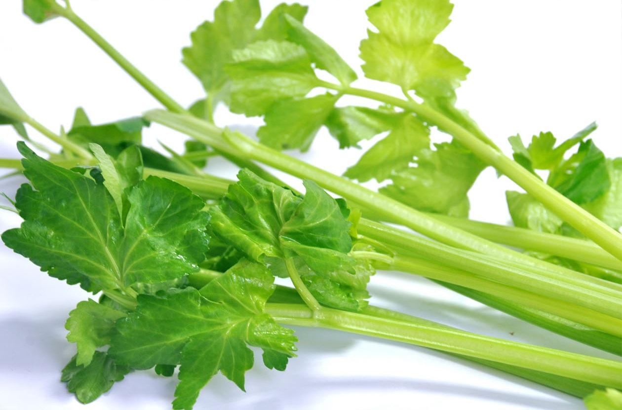  蔬菜是個(gè)寶，這些部位也更好！