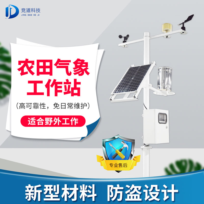 蔬菜溫室水培是什么？將氣象站運(yùn)用于蔬菜溫室水培中……